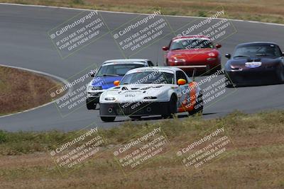 media/May-04-2024-Lucky Dog Racing (Sat) [[d39539b3f3]]/Race Pics/1015am (Turn 2)/